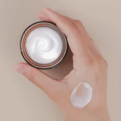 All In One Snail Repair Cream