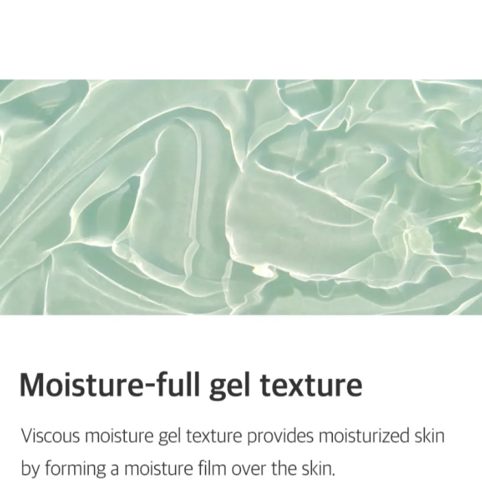 Aloe Soothing Gel Moisture Type