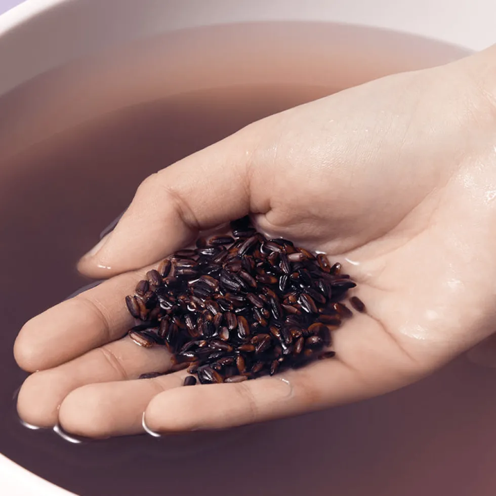 Black Rice Toner