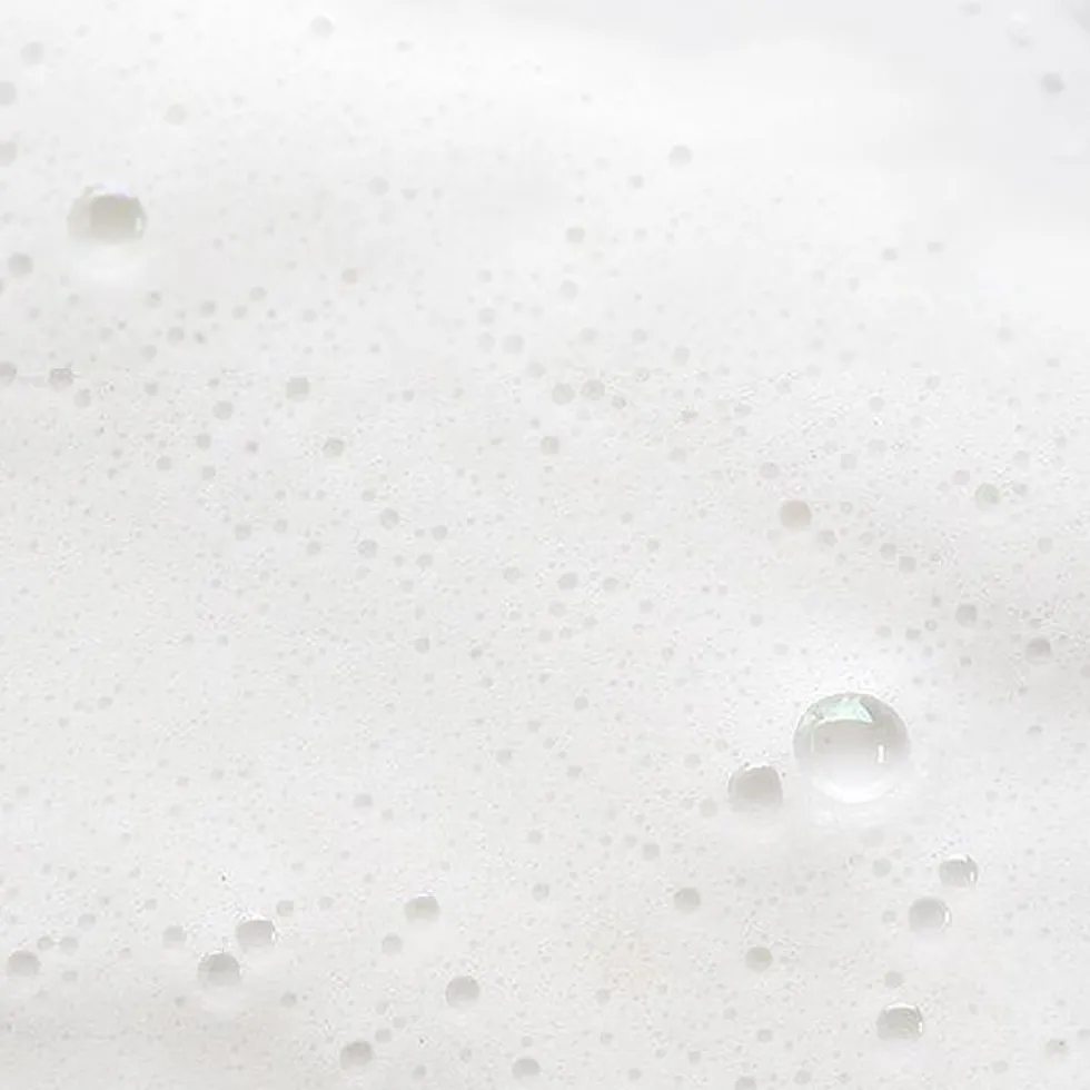 Black Sugar Perfect Enzyme Powder Wash