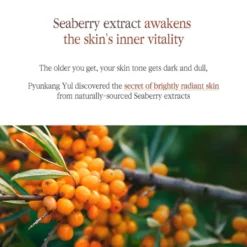 Black Tea Boosting Serum