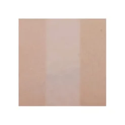 Brightening Cushion Compact Velvet Veil SPF50+ PA+++ (with refill)