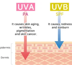 Comfy Water Sun Block SPF50+ PA++++