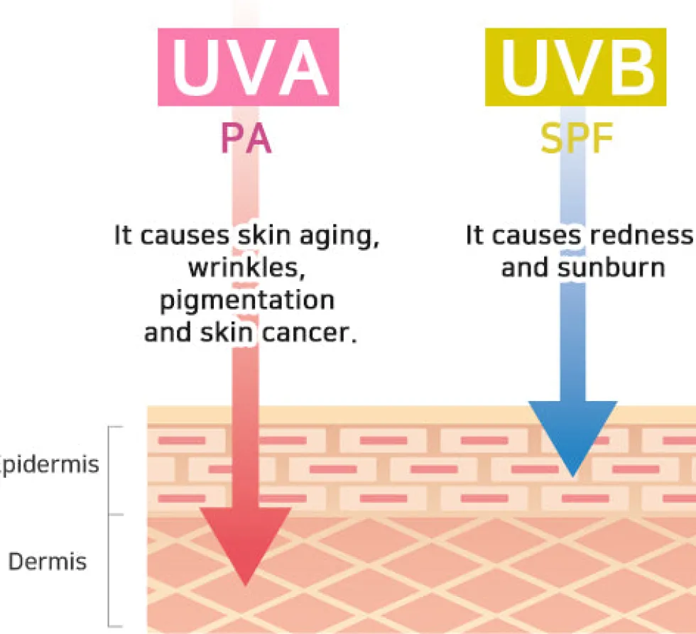 Comfy Water Sun Block SPF50+ PA++++
