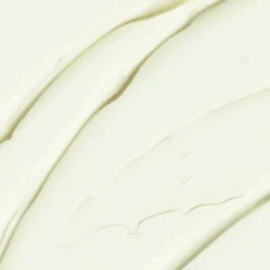 Daily Go-To Sunscreen SPF50+/PA++++