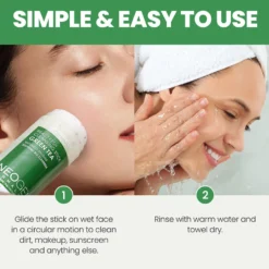 Dermalogy Real Fresh Cleansing Stick Green Tea