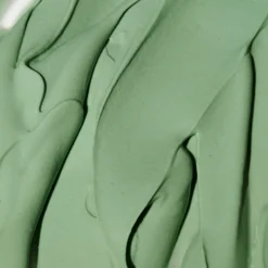 Expert Spirulina Cooling Modeling Mask