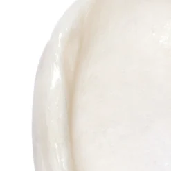 Green Tea Amino Hydrating Cleansing Foam