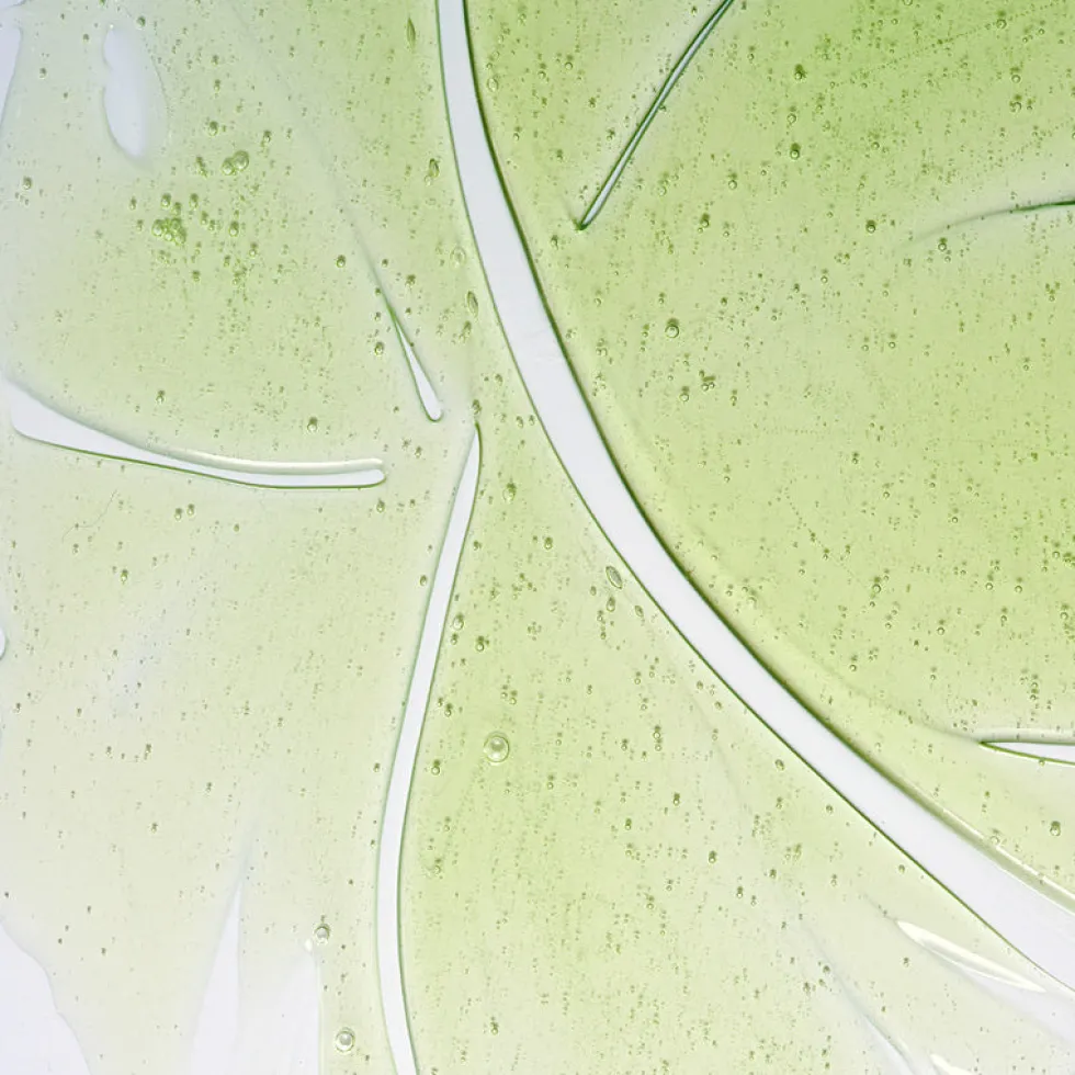 Herbalism Shampoo