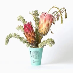 Honey Green Aqua Bomb Cream