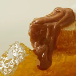Honey Mask