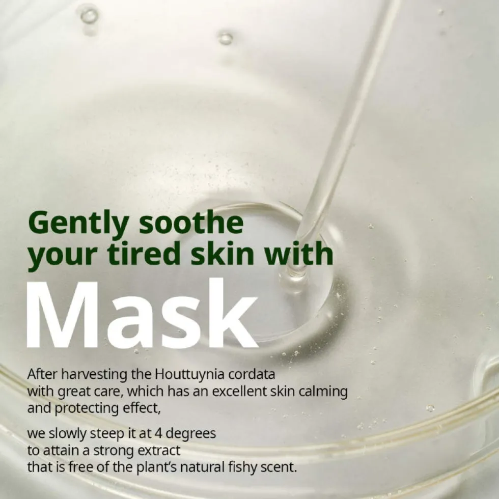 Houttuynia Cordata Calming Mask
