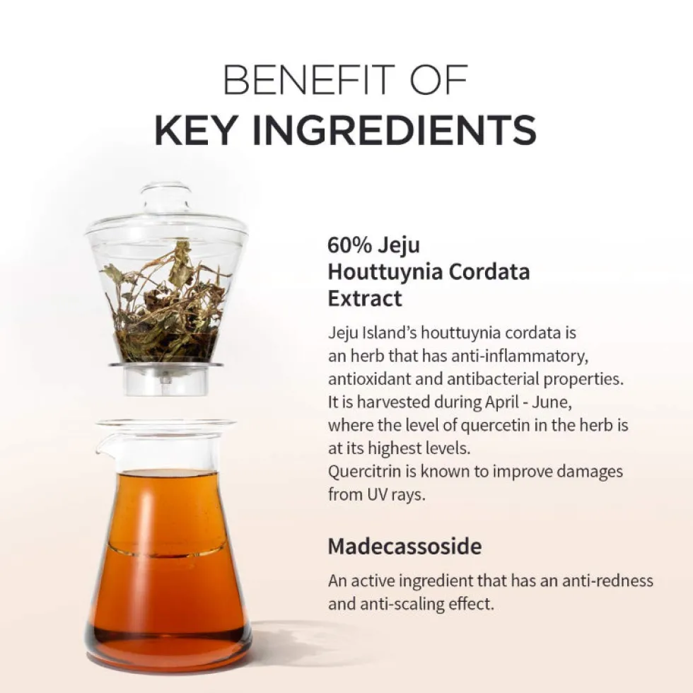 Houttuynia Cordata Calming Moisture Cream