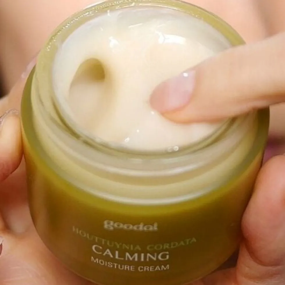 Houttuynia Cordata Calming Moisture Cream