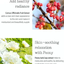 Intensive Repair Cream