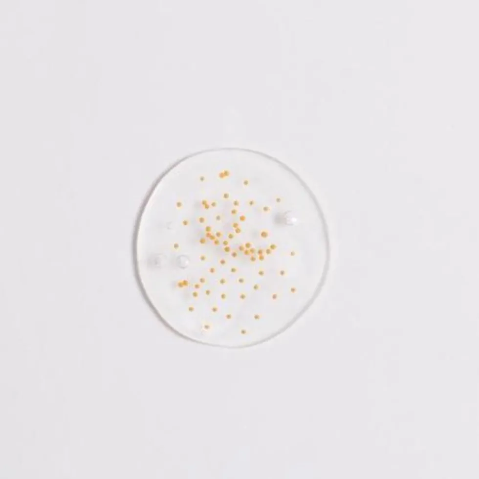 Luminous Serum Melting Vita