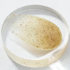 Master Gentle Recipe Foam Cleanser