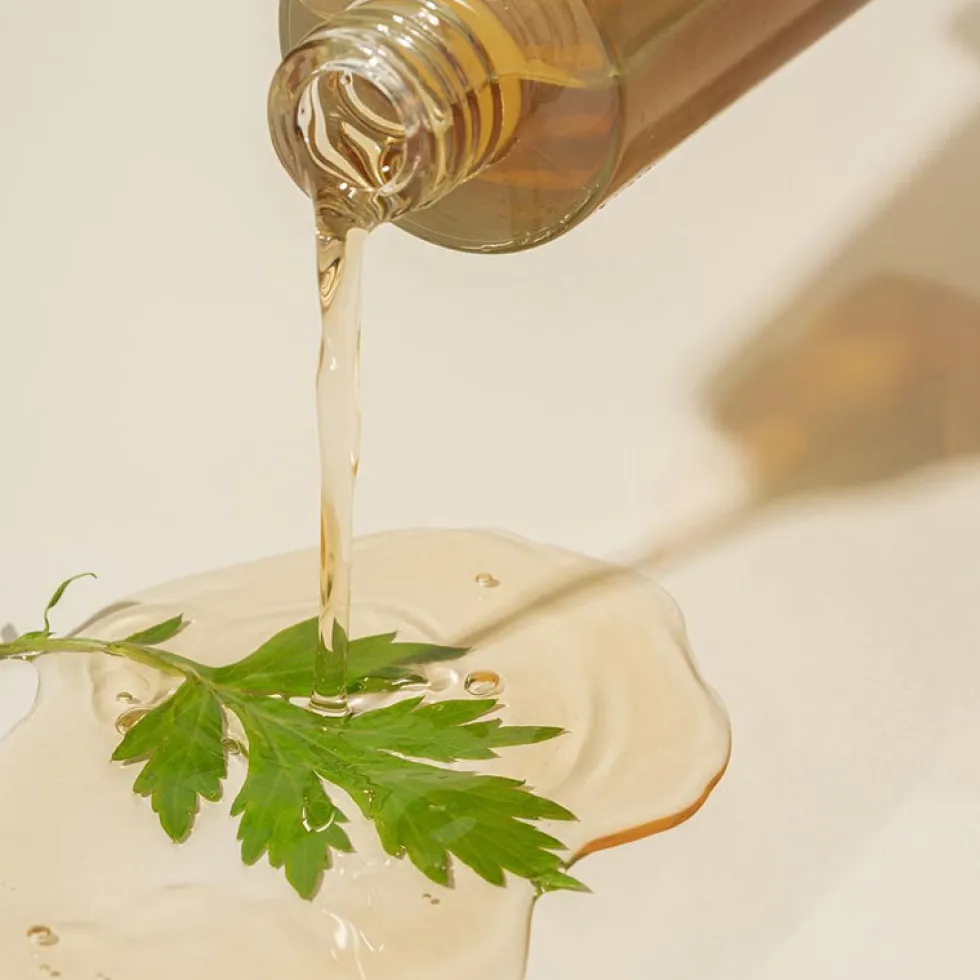 Mugwort Essence