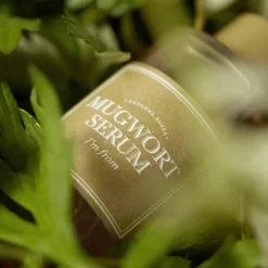 Mugwort Serum