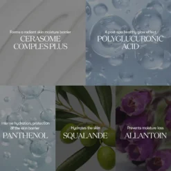 PDRN Essence 100