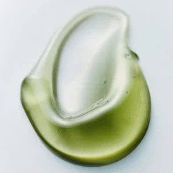 Phyto Brew Matcha Ampoule