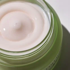 Phyto Plump Collagen Night Cream