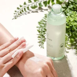 Phyto Plump Collagen Toner