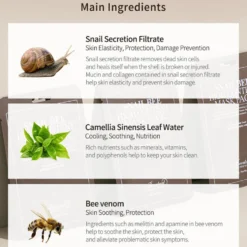 Snail Bee High Content Mask Pack