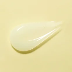 SOLID-IN Ceramide All Day Essence