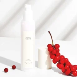 Stay With Me Day Cream