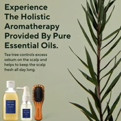 Tea Tree Scalp Purifying Trial Kit