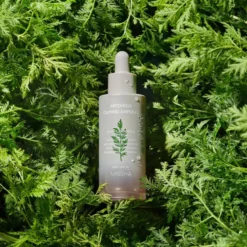 Time Revolution Artemisia Ampoule