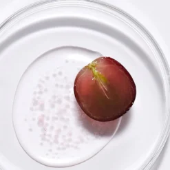 Vegan Active Berry First Essence
